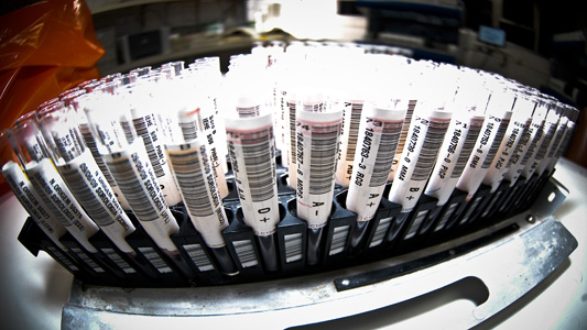 Foto de instrumento de laboratório con vários tubos de vidrio própios para investigaciones